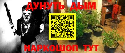 сатива Пенза