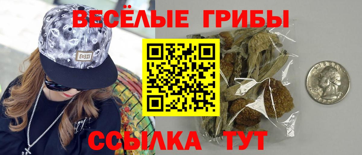 Галлюциногенные грибы ЛСД  Вход с VPN  Солнечногорск 